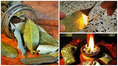 Burn Bay Leaves in Your House, Wait 10 Minutes, and See What Happens — You'll Want to do It Again!