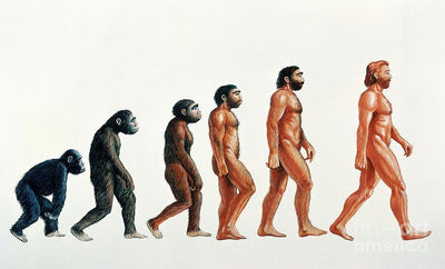 Why Darwinian Evolution Is Flatly Impossible