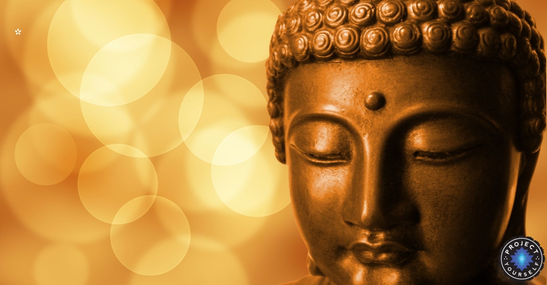 Project Yourself Buddha Collection –