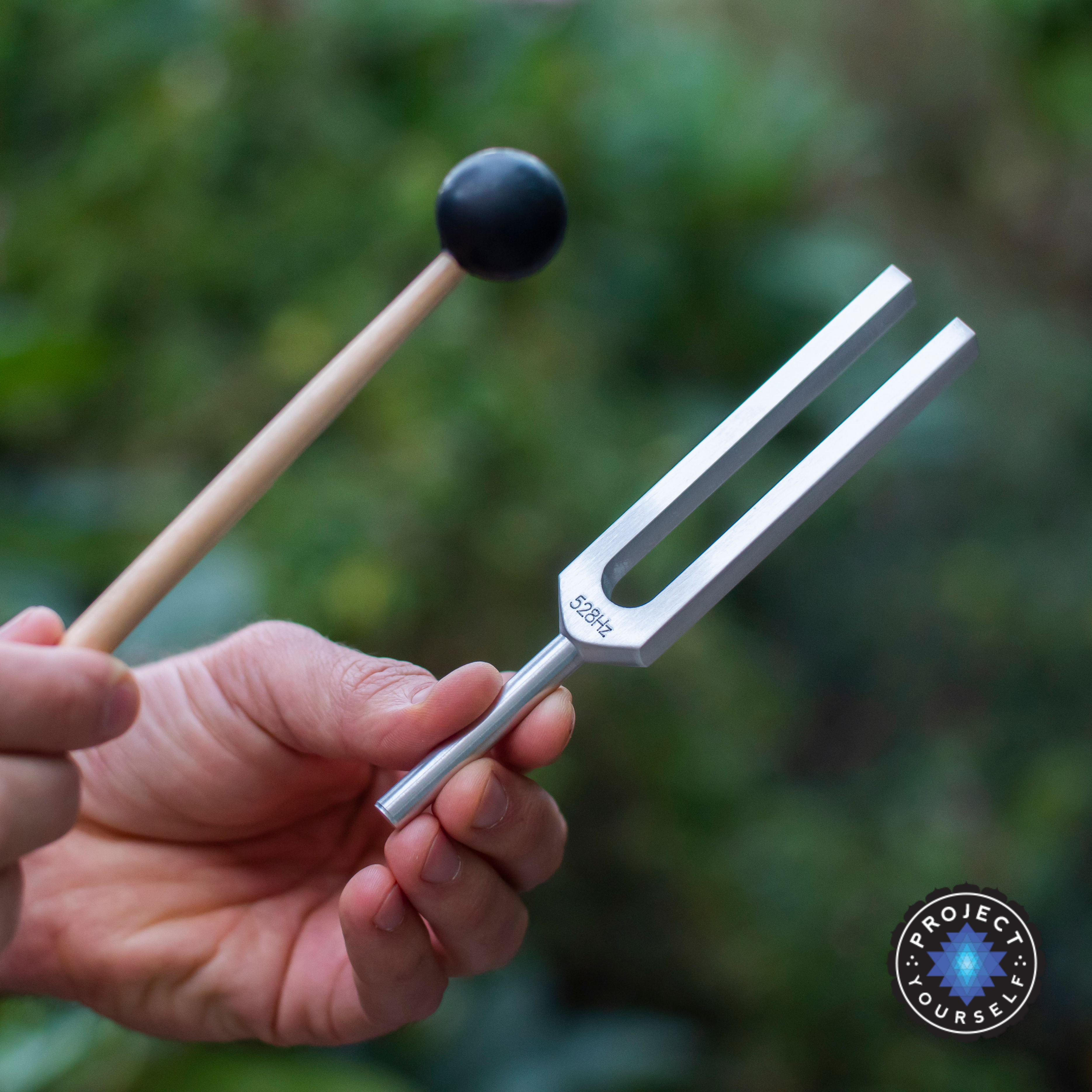 Frequency Of Love Tuning Fork Set – Project Yourself