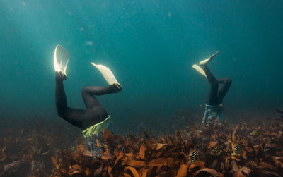 Last Living Mermaids Close To Extinction