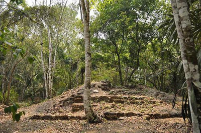 Archaeologists Discover Mysterious Mayan Citadel in Belize