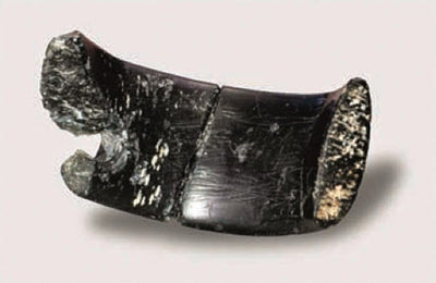 40,000-year-old stone bracelet from Denison Cave is oldest ever found