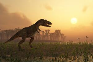 Mesozoic Period: New Evidence of Warm Blooded Dinosaurs