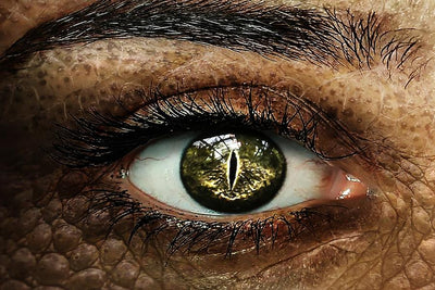 12 Million People of the American Population Think That Reptilians Rule the World