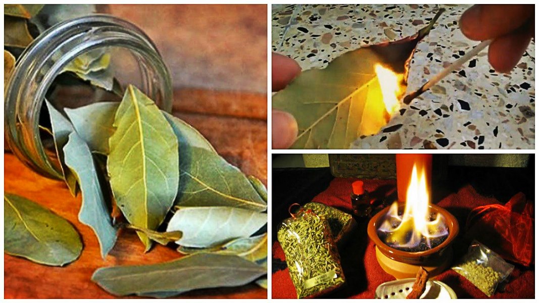 Burn Bay Leaves in Your House, Wait 10 Minutes, and See What Happens — You'll Want to do It Again!
