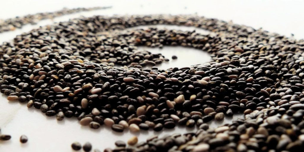 Why Ancient Chia Seeds Are A Great Addition To Your Diet