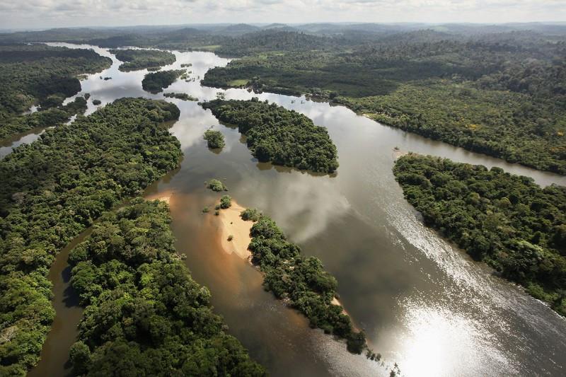 Myth of pristine Amazon rainforest busted as old cities reappear
