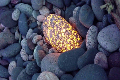 Fascinating Discovery: A Man Has Found Scores of Stones which Luminesce After a Light is Shined on Them