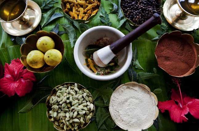 Your Introductory Guide to Ayurvedic Herbal Medicine