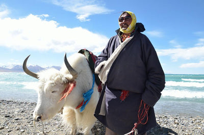 The Tibetans