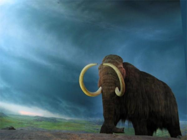 Science Is Bringing The Extinct Ancient Mammoth Back To Life