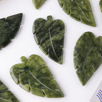 Abundant Leaves of Heart Collection