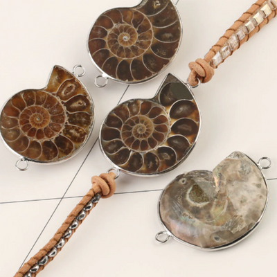 Ammonite Fossils Tiger Eye Wrap Bracelet