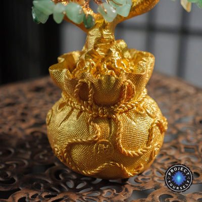 Season Of Abundance Bonsai Money Tree