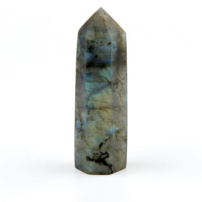 Natural Crystal Scepter Point Labradorite Crystals