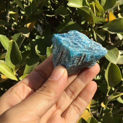 The Stone of Achievement Natural Blue Apatite