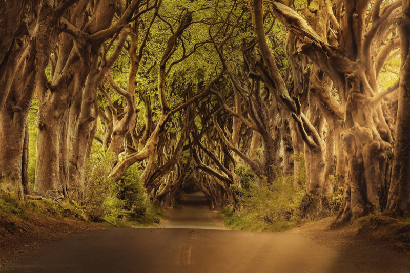 The Road Less Taken