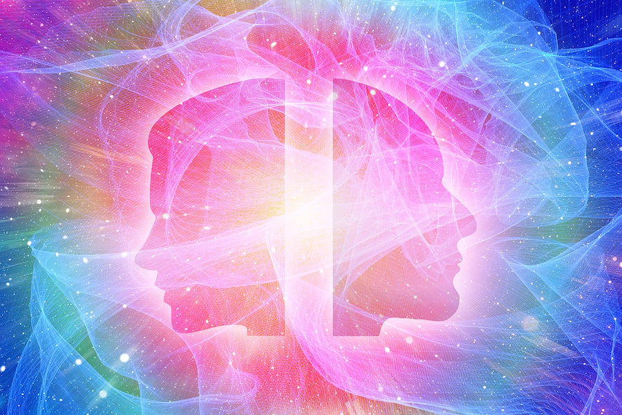 Training the Awareness Shapes our World