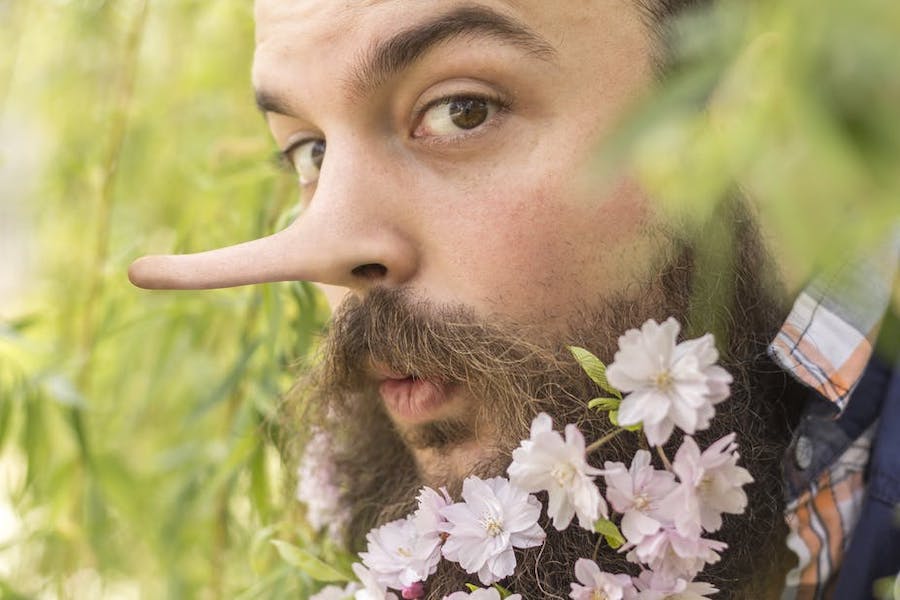 Why You Shouldn't Blame Lying On The Brain
