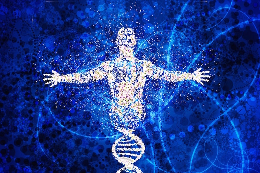 Your Body Is A Projection Of Consciousness And Thought