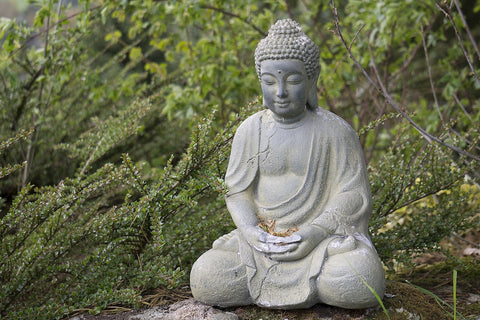 buddha